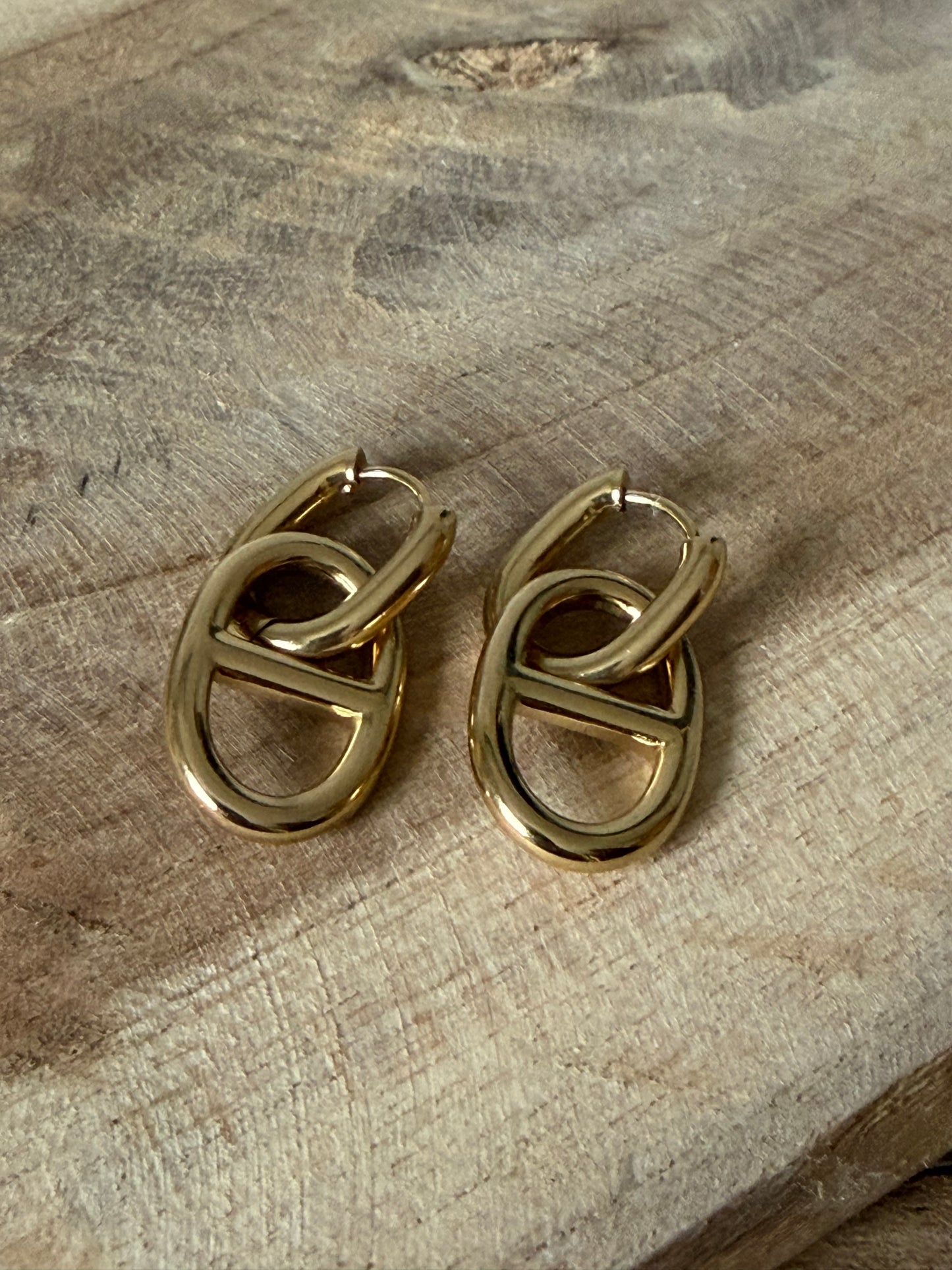 Boucle D’oreille Capsule