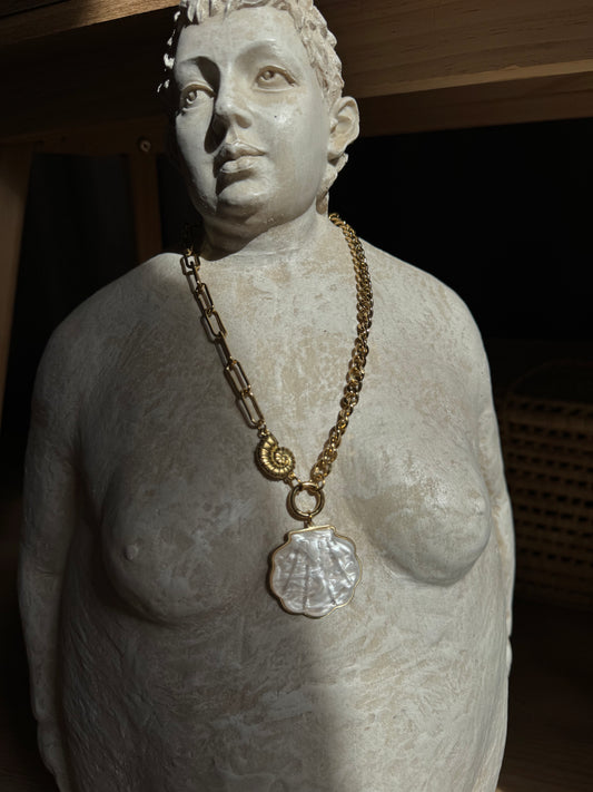 Collier Chaine Coquillage