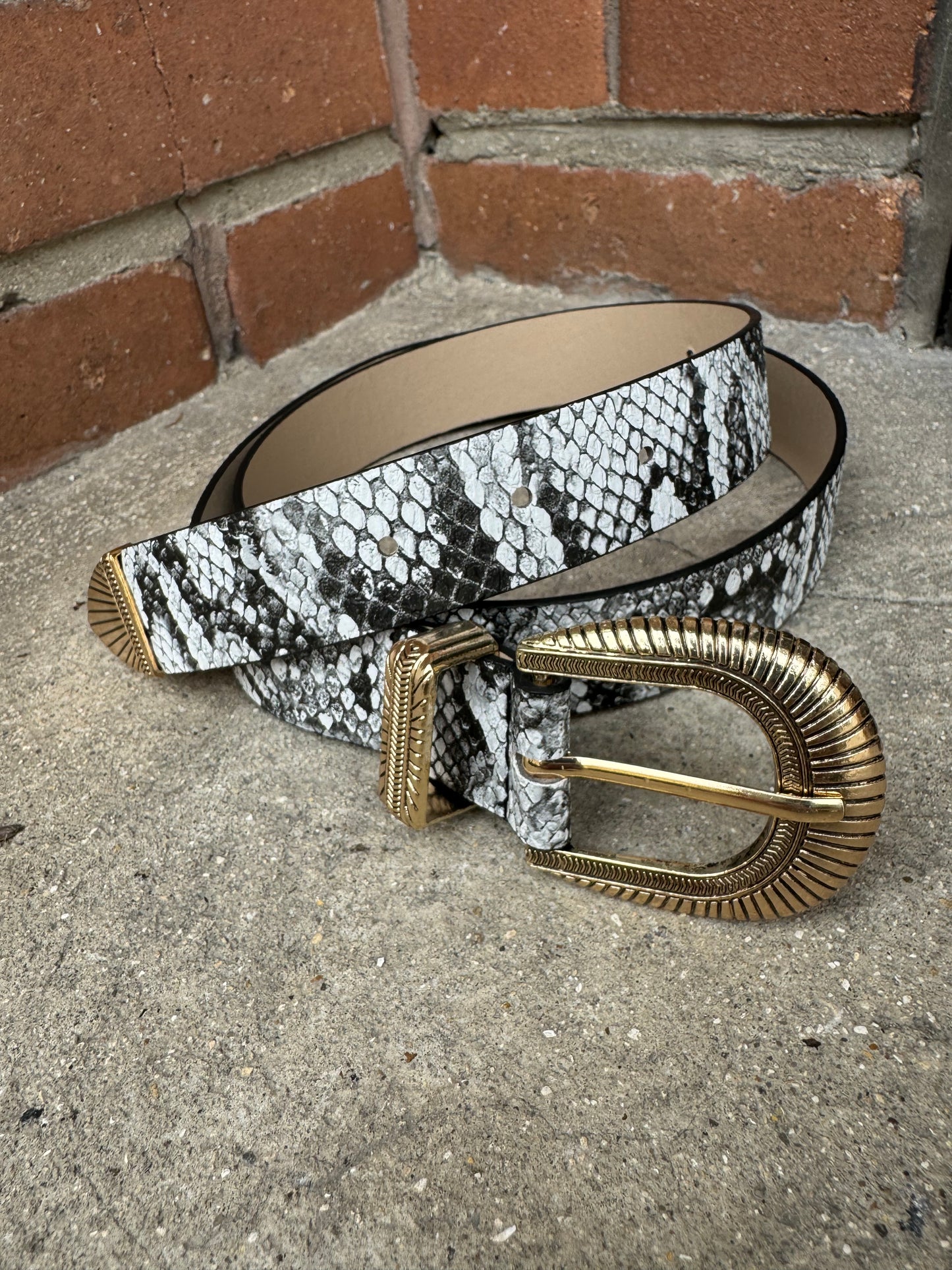 Ceinture Python Gris