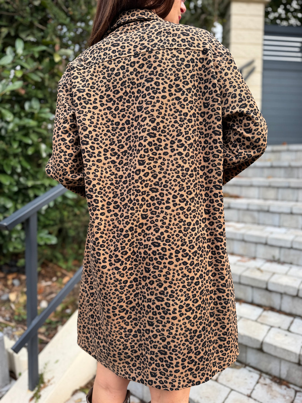 Robe Velours Léopard