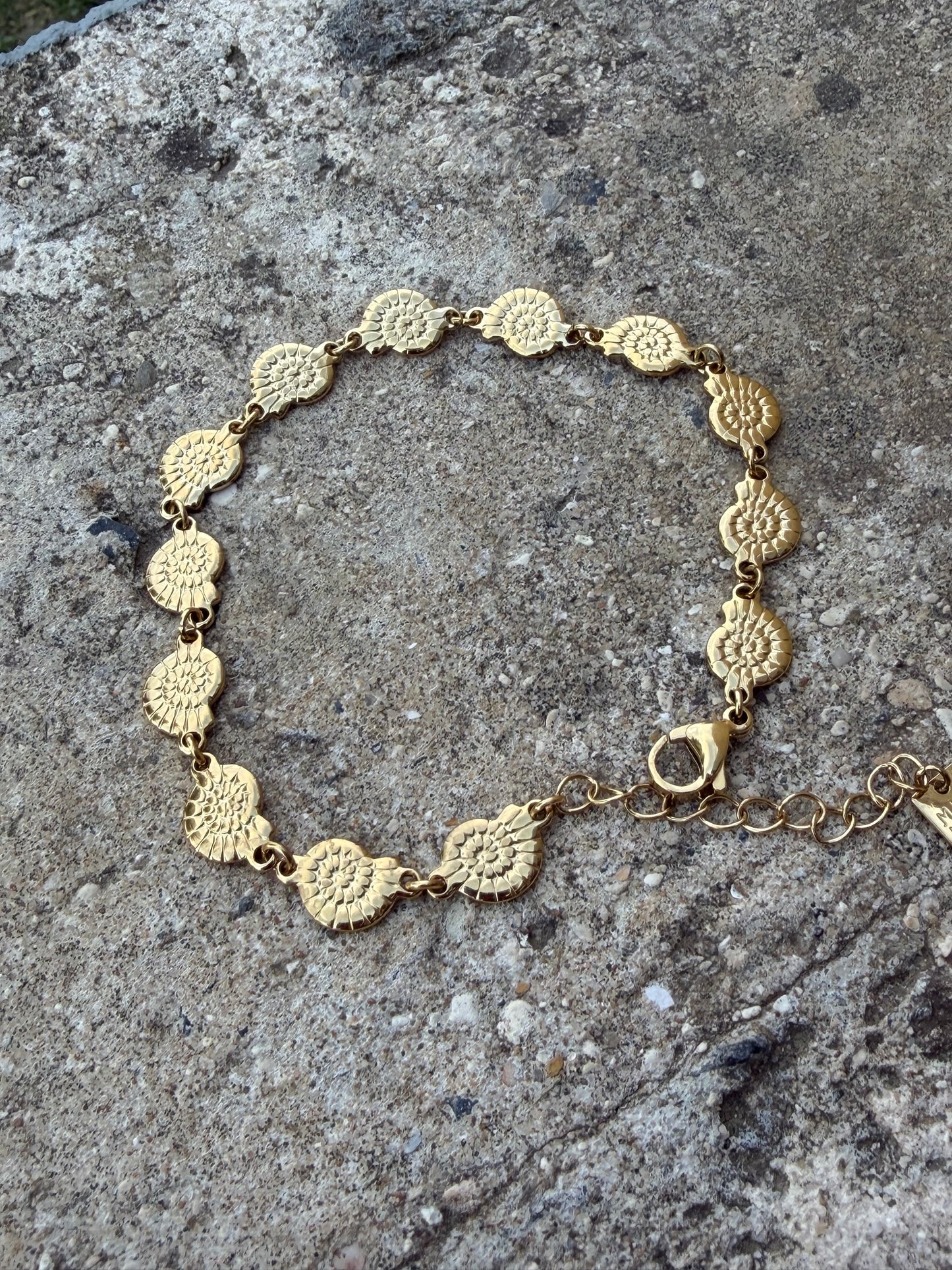 Bracelet Cheville Coquillage