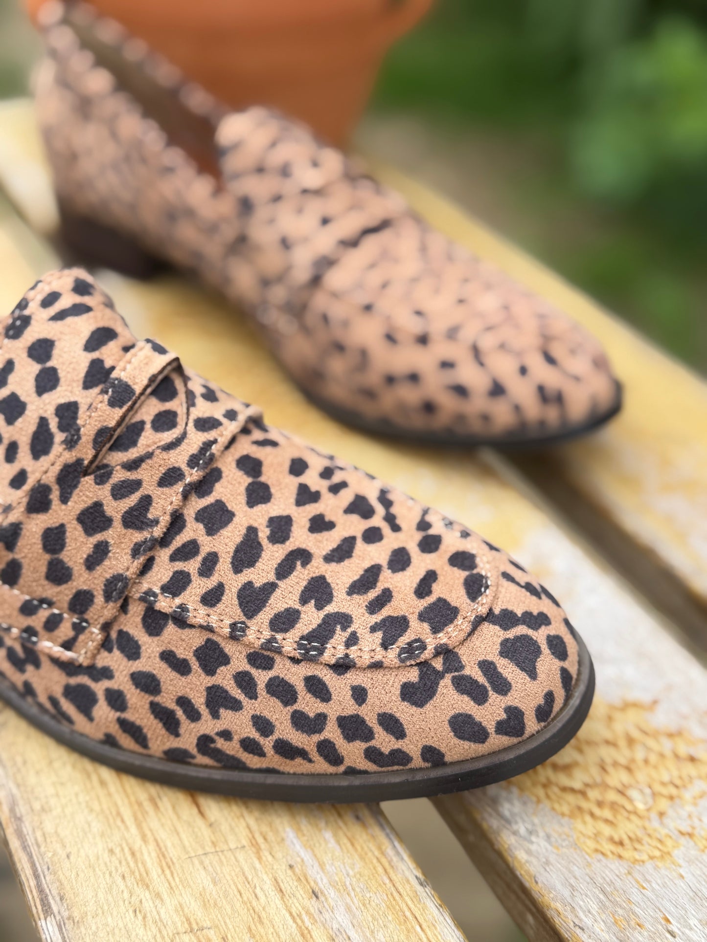 Mocassin Léopard